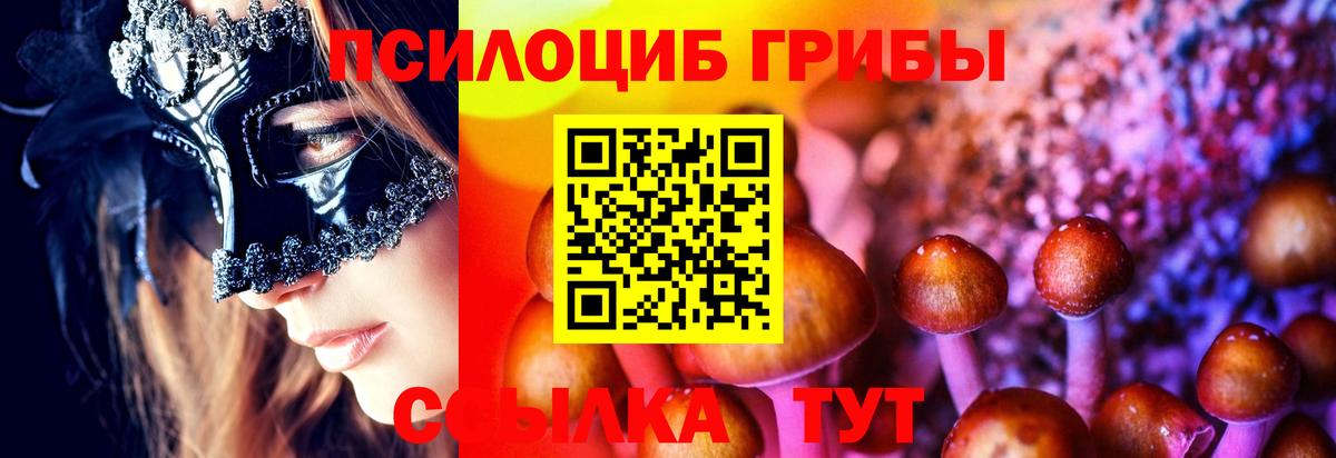 Галлюциногенные грибы Psilocybine cubensis  Псилоцибиновые грибы прущие грибы  Клинцы  Вход с VPN 
